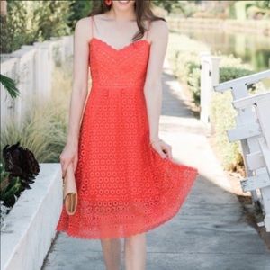 J.Crew Orange Daisy Lace Midi Dress